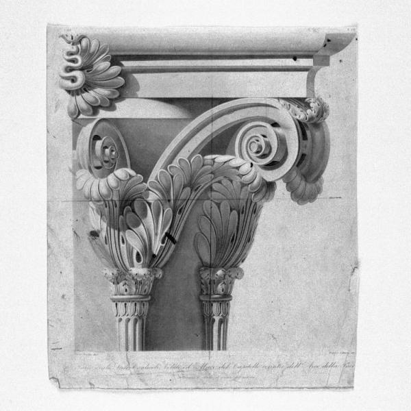 Parte degli steli caulicoli, volute ed abaco del Capitello corintio dell'arco della Pace Moglia Domenico; Citterio Francesco Link risorsa: