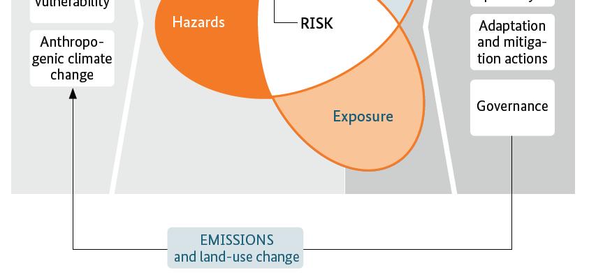 Componenti fondamentali per la determinazione del rischio legato ai cambiamenti climatici: hazards (sorgenti di pericolo); exposure (esposizione);
