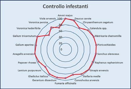 SPETTRO D AZIONE INFESTANTI SENSIBILI Anthemis arvensis Lamium amplexicaule Raphanus raphanistrum Calendula spp. Lamium purpureum Senecio vulgaris Calepina irregularis Matricaria spp.