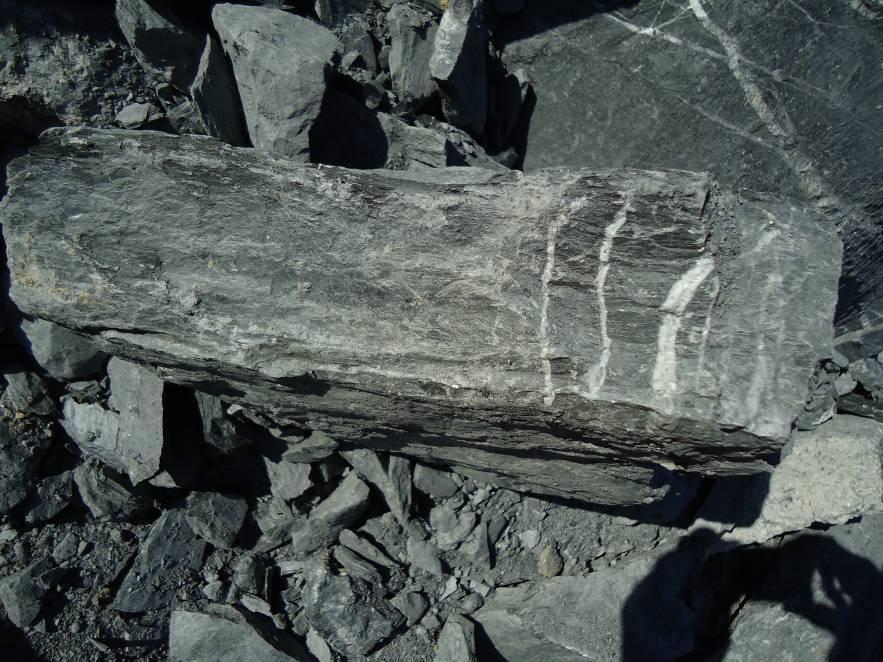 Un quadro d insieme sui controlli di Arpa Piemonte Il 13 e 16 dicembre 2013 sono stati eseguiti rilievi geologici dei cumuli provenienti dallo scavo Vallemme in cui non sono state individuate pietre