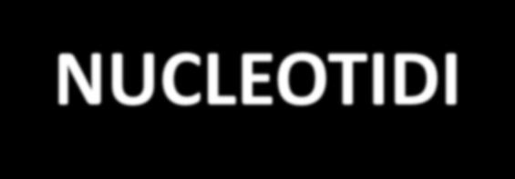 NUCLEOTIDI RUOLI BIOLOGICI: a) Forma di energia utilizzata nel metabolismo cellulare (ATP, GTP) b) Entrano a far parte della struttura di cofattori enzimatici (coenzimi) e di intermedi metabolici c)