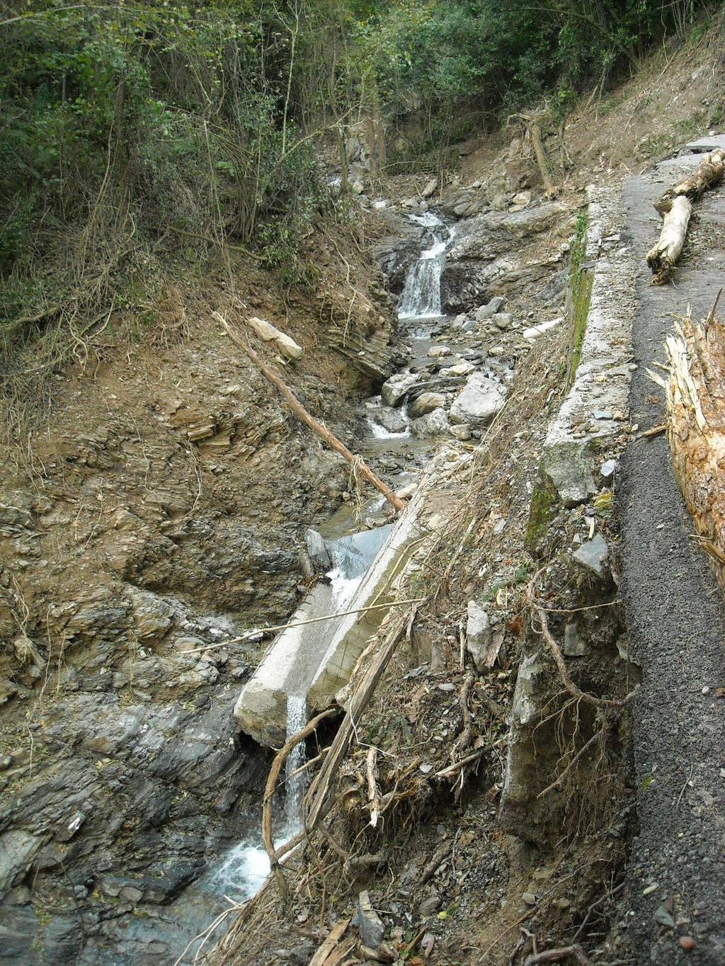 Foto 6 Il muro in calcestruzzo (nel settore di cui alla foto precedente), che costituiva la difesa spondale preesistente in sinistra e che, divelto dalla piena, giace (per i monconi non