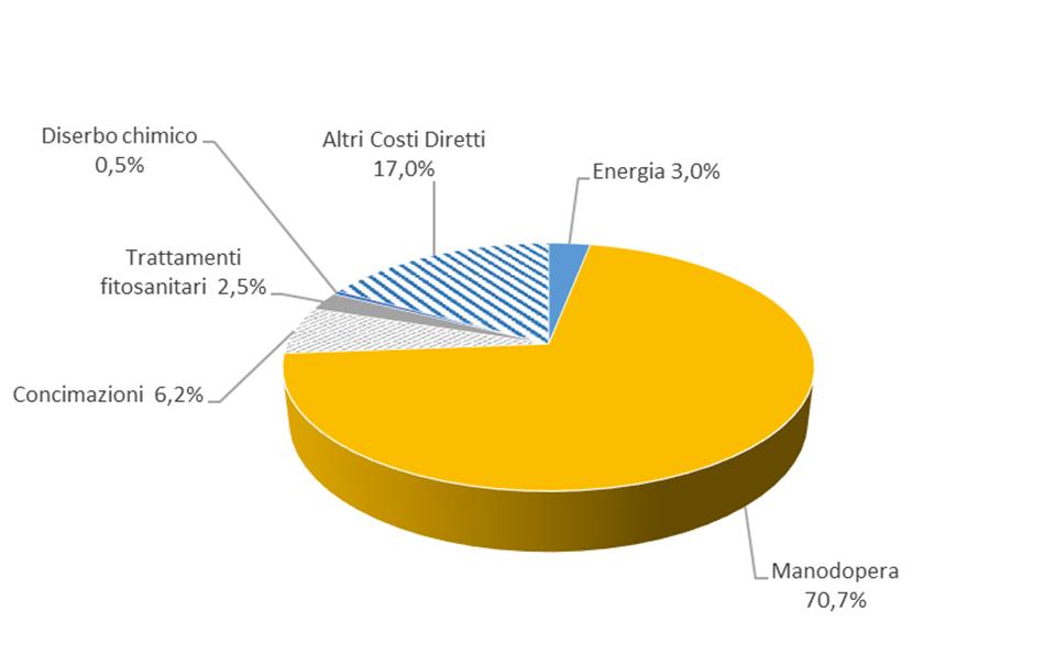 3.1.La ripartizione % dei costi diretti nel primo trimestre 2014 Fig. 1 Ripartizione %dei costi diretti dell'asparago Fig. 2 Ripartizione % dei costi diretti dell asparago annualità successive 4.