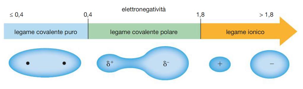Tipi di legame covalente In base alla differenza di elettronegatività si ha: 0-0,4