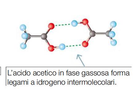 I legami fra le molecole I legami a idrogeno