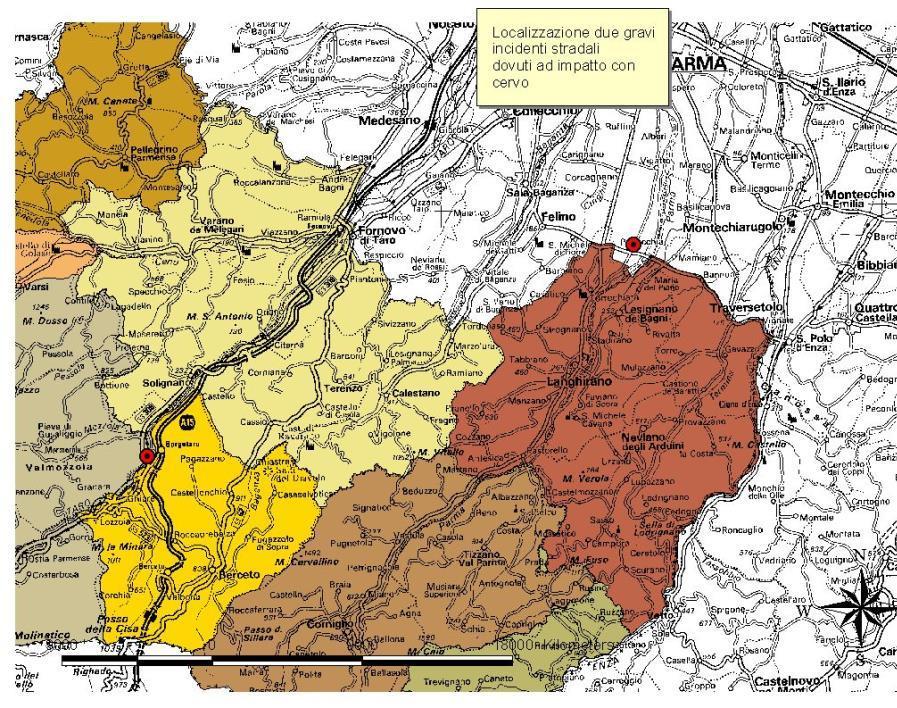 Figura PR12 localizzazione incidenti stradali da cervo Provincia di Lucca Per la provincia di Lucca sono disponibili solo i casi di mortalità di cervi rinvenuti a seguito di incidenti stradali, nella