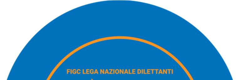 CU nr 05 - Pagina 1 Federazione Italiana Giuoco Calcio Lega Nazionale Dilettanti COMITATO PROVINCIALE REGGIO EMILIA Via Ferruccio