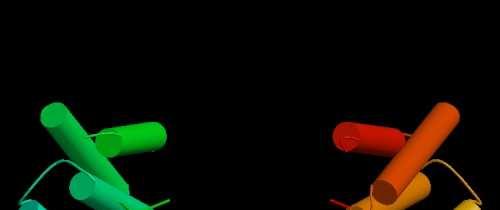 Le proteine 14-3-3 sono coinvolte nella regolazione dell attività della H + -ATPasi