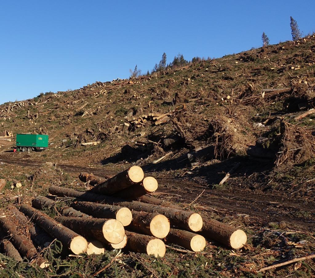 Gestione paesaggistica degli interventi di recupero dei danni al patrimonio boschivo causati dagli eventi meteorologici dell autunno 2018 documenti 06 sificate volte ad affrontare i molteplici