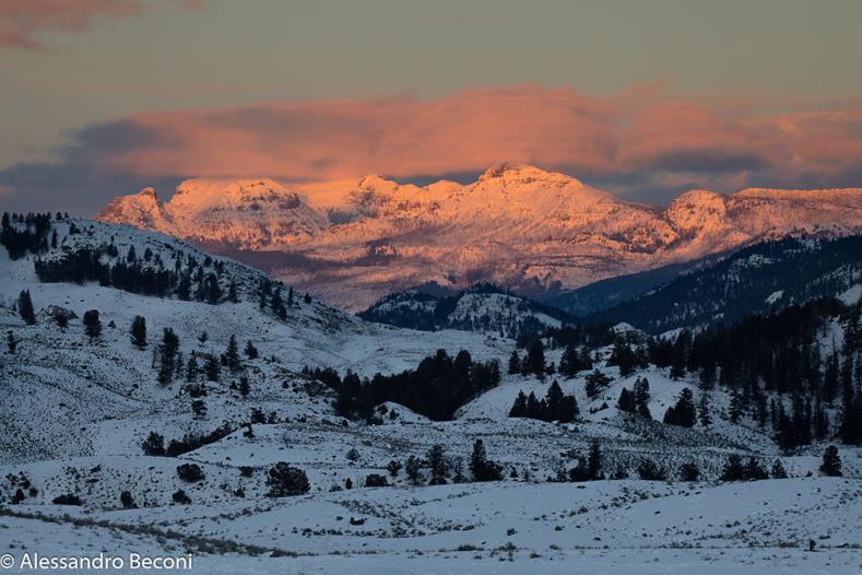 Spettacolari paesaggi ci accompagneranno, dalle cime montane innevate ai numerosissimi geyser (Yellowstone conta la più alta concentrazione di sorgenti calde e geyser dell'intero pianeta, oltre 10000!