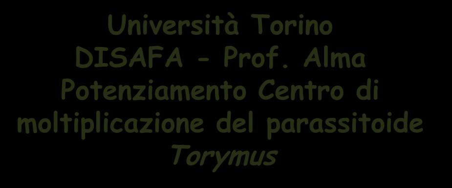 2 AZIONE Università Torino DISAFA - Prof.
