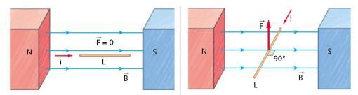 Intensità campo magnetico Una carica elettrica in quiete non subisce nessuna forza se viene immersa in un campo magnetico.