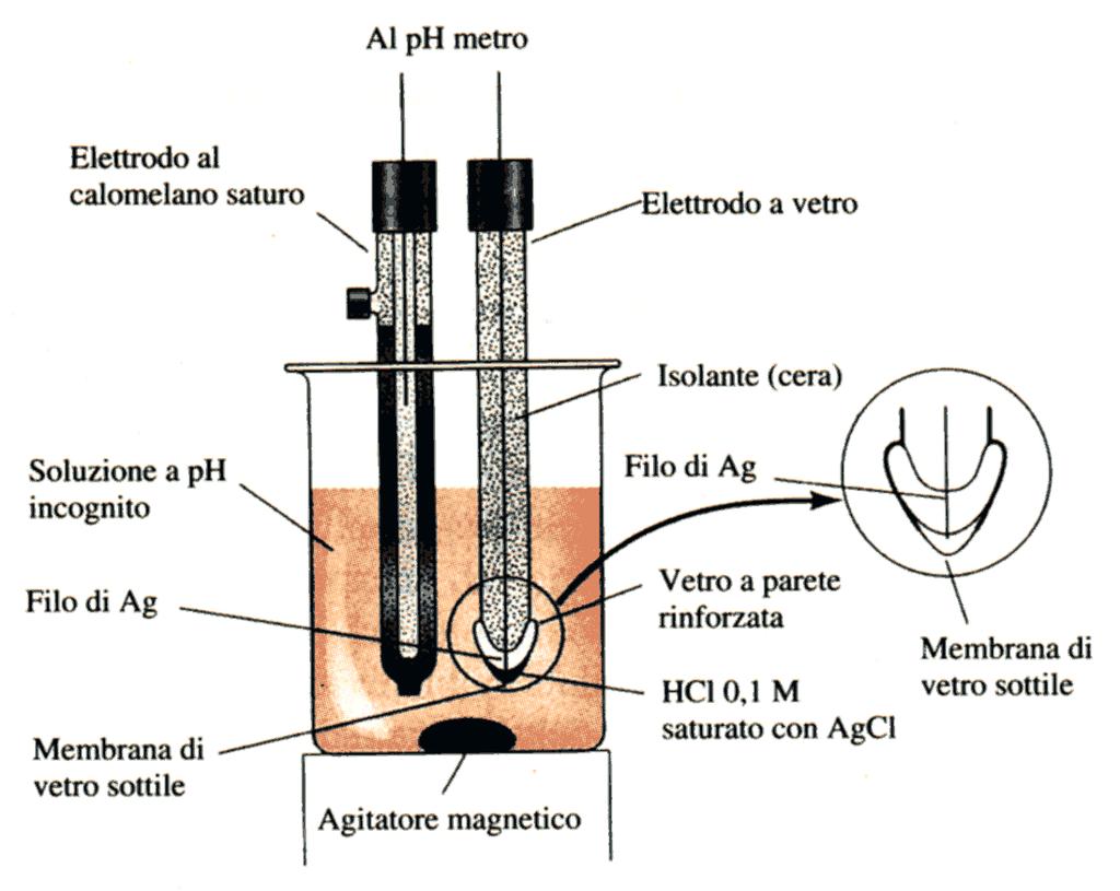 ELETTRODO A VETRO Una tipica cella per la misura del ph è mostrata in figura.