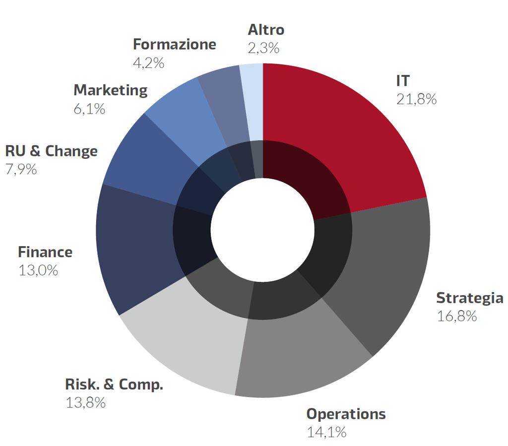 Le aree di specializzazione L analisi delle aree di specializzazione non comprende le micro società di consulenza IT, strategia e