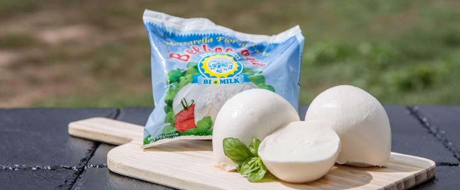 Mozzarella in busta singola Il Bocconcino è certamente la migliore espressione della mozzarella.