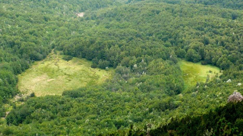 Habitat presenti Formazioni erbose naturali e seminaturali 6130 - Formazioni erbose calaminari dei Violetalia calaminariae 6210 (*) - Formazioni erbose secche seminaturali e facies coperte da