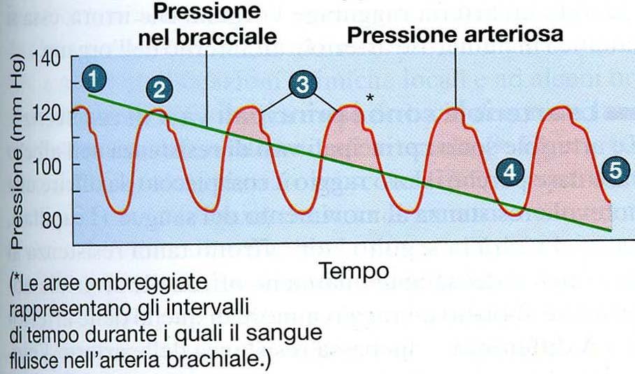 Pressione arteriosa media