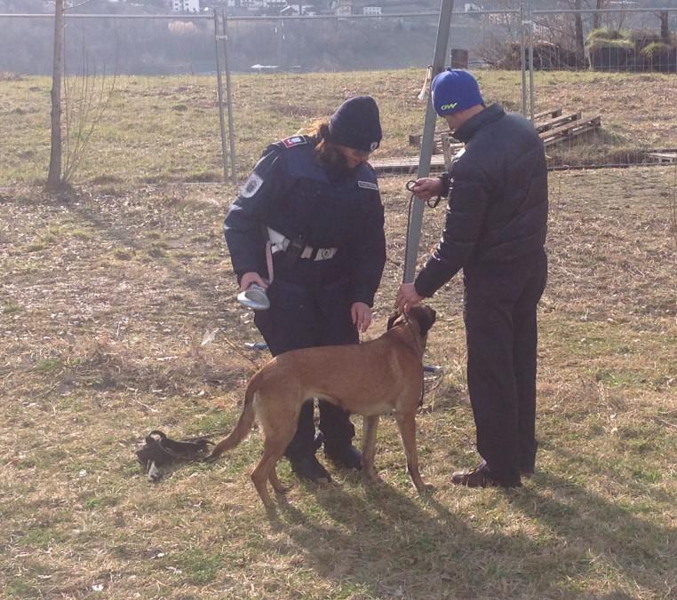 Convenzione per il servizio di cattura, mantenimento e custodia di cani vaganti Il CELVA e l Association valdôtaine pour la protection des animaux (AVAPA Onlus) hanno stipulato, in data 4 maggio