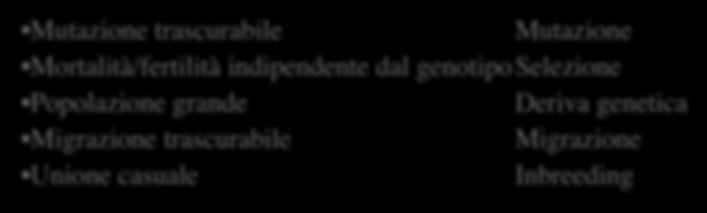 Fattori che alterano l equilibrio di HW => Condizioni per l equilibrio di HW evoluzione Fattori che alterano l equilibrio di HW Mutazione trascurabile