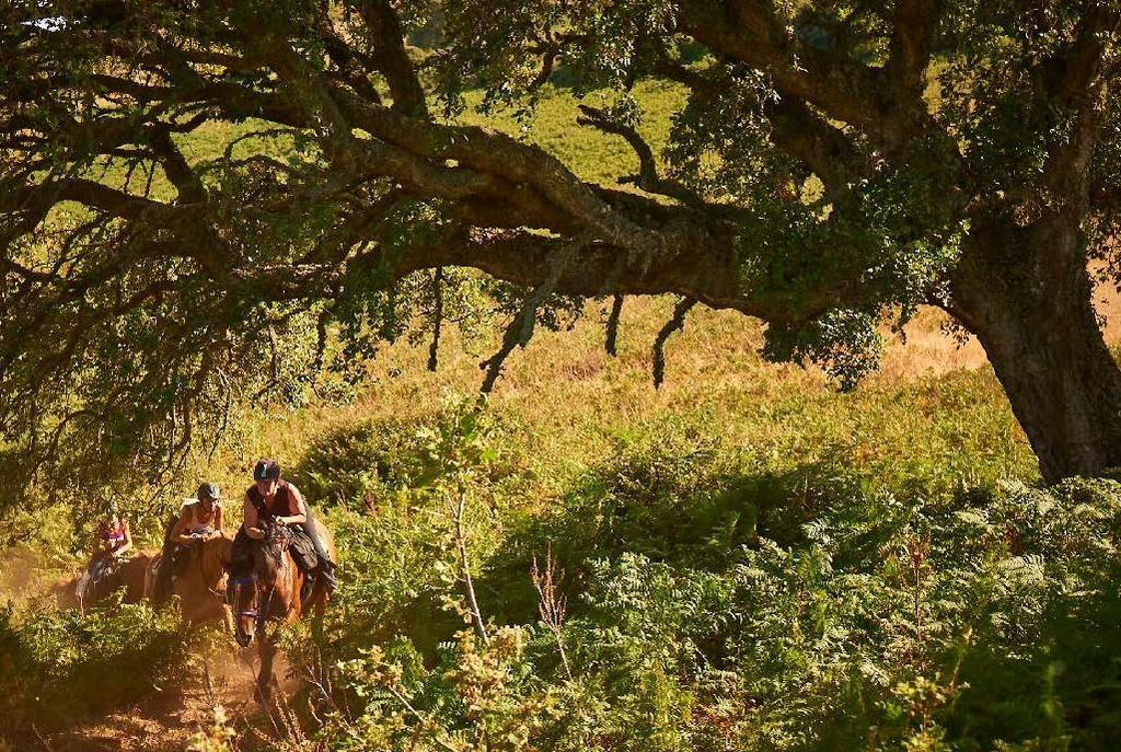 WILD - Un nuovo pacchetto equitazione per scoprire il lato più selvaggio della Sardegna. Una settimana in pensione completa 1.