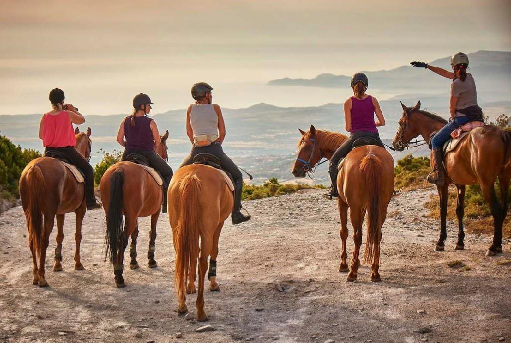 MONTI & MARE Escursioni dalla montagna al mare. Una settimana in pensione completa (colazione, pranzo al sacco, cena). Prezzo speciale 1.