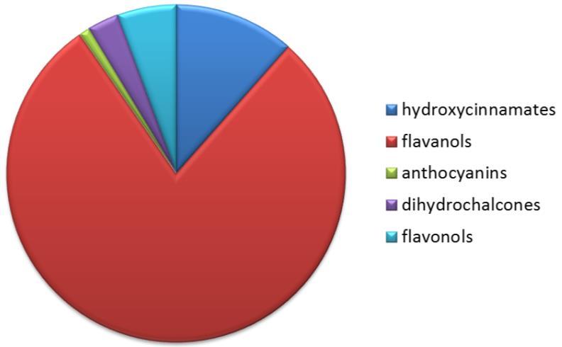 Vrhovsek et l 2004 * Quercetin