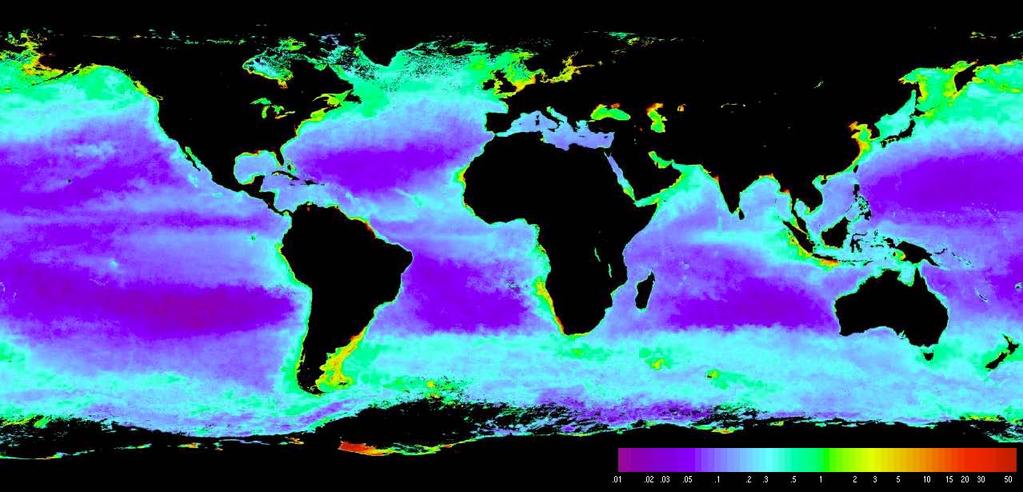 Global Chlorophyll a (g/m3) Derived from SeaWiFS Imagery