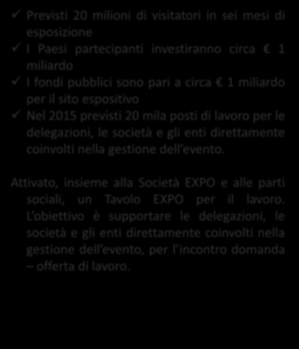 Previsti 20 milioni di visitatori in sei mesi di esposizione I Paesi partecipanti investiranno circa 1 miliardo I fondi pubblici sono pari a circa 1 miliardo per il sito espositivo Nel 2015 previsti