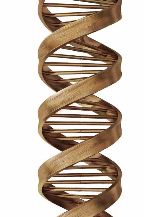 LE PIÙ SOLIDE TECNOLOGIE DEL LEGNO SONO IL NOSTRO DNA SCM.