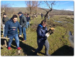 Capacità di gestione e direzione di aziende agricole, agroalimentari, zootecniche