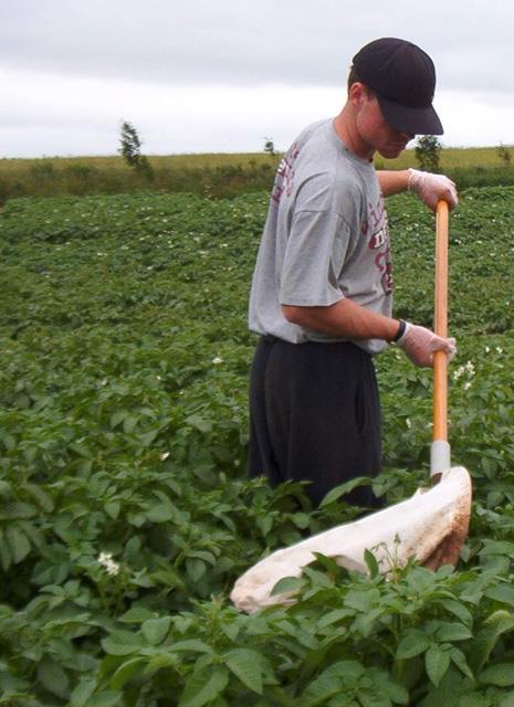 2) Definire, condividere e promuovere l applicazione delle migliori pratiche agricole in Buone grado di Pratiche tutelare l attività Agricole apistica e quella sementiera I DISCIPLINARI DI PRODUZIONE