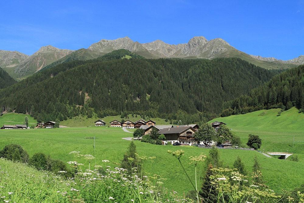 3. Alterazione degli ecosistemi Tree-line Meno spazio Migrazioni delle specie in