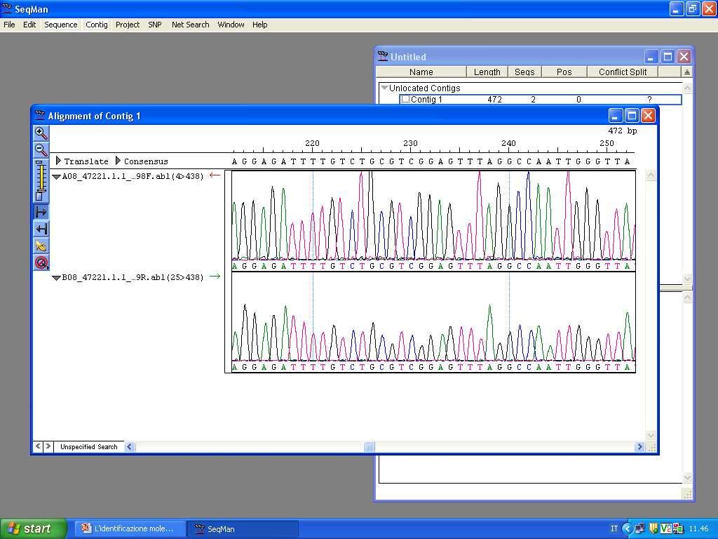 laboratorio Analisi DNA mitocondriale