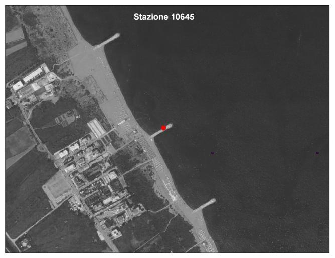 Il campionamento ha riguardato esclusivamente la matrice macroalga o substrato duro, dando la precedenza alla prima quando presente.