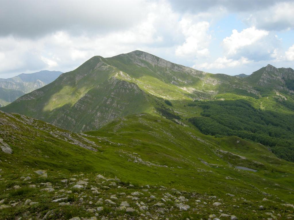 Alpe delle Tre Potenze Versante Ovest Versante Est Area di studio Roccia arenaria (macigno); suoli in media neutro-acidi Altitudine massima 1935 m Clima: orotemperato inferiore, iperumido superiore