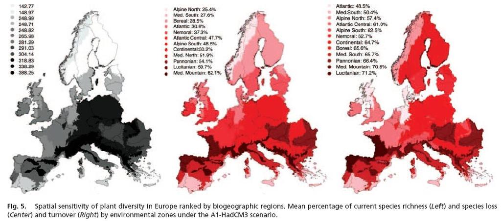 L impatto sulla diversità vegetale in Europa Previsione per l anno 2080 - da Thuiller et al.