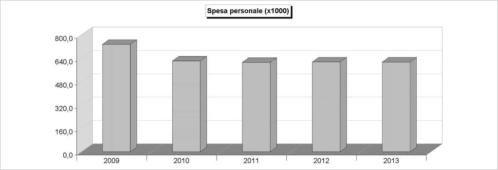 FORZA LAVORO (numero) 2009 2010 2011 2012 2013 Personale previsto in pianta organica 16 16 15 15 15 Dipendenti in servizio: di ruolo 17 15 16 15 15 non di ruolo 0 1 1 1 1 Totale 17 16 17 16 16