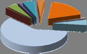 Elenco causali dei decreti GennaioGiugno 2009 2010 Anno 2010 al 30/06/2010 Causali Gennaio Giugno 2009 % su tot 2010 % su tot su anno crisi aziendale 797 60,29% 2.583 72,70% 1.786 224,09% amm.