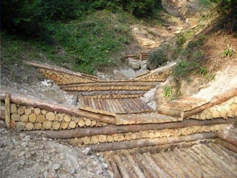 territoriale Chimica e suoli forestali, Genetica Entomologia e Zoologia