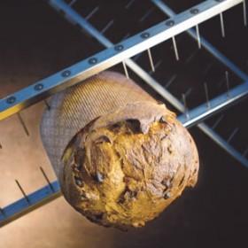 IL PANETTONE A LIEVITAZIONE NATURALE DI GIOVANNI PINA Ingredienti per uno panettone da 1kg: Primo impasto Farina 00 400w grammi 216 Lievito naturale grammi 65 Tuorli grammi 55 Zucchero grammi 65