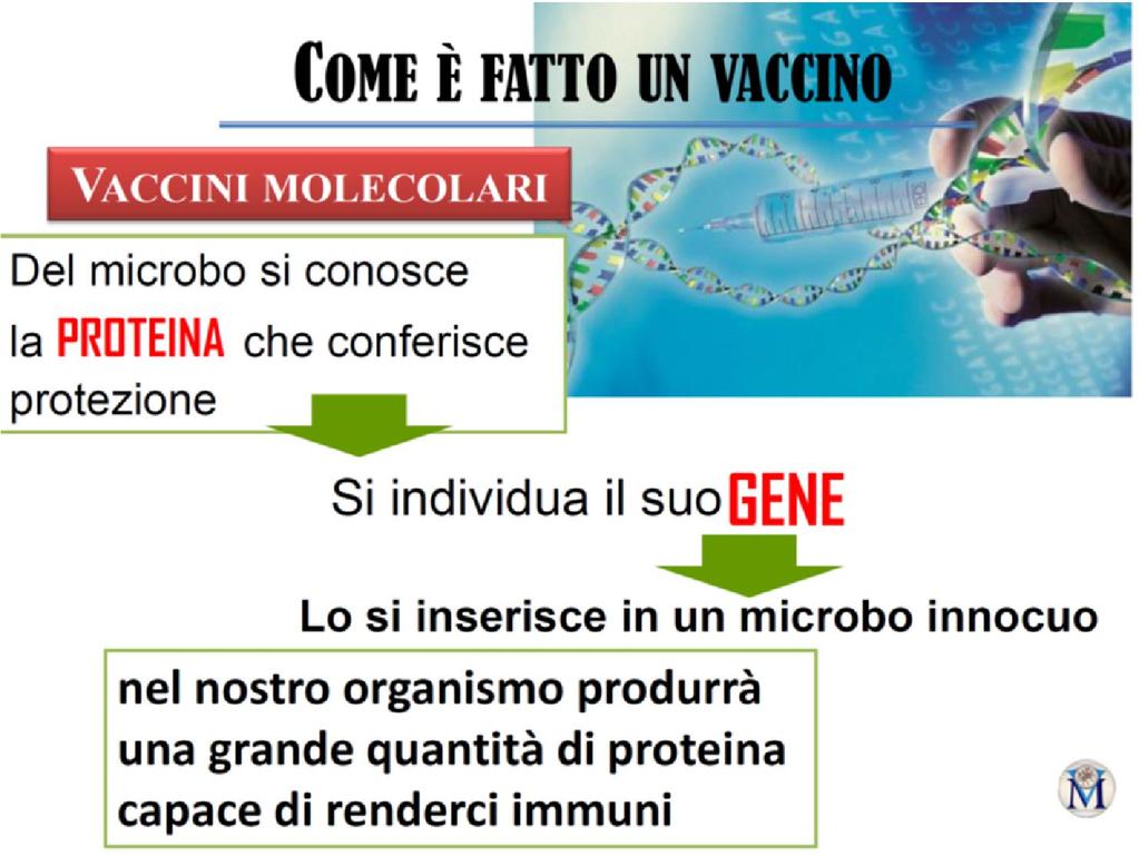 Vantaggi Svantaggi Stimolo diretto contro specifico bersaglio Induzione di titoli anticorpali specifici molto elevati Riduzione di reazioni avverse causate da altre componenti antigeniche.