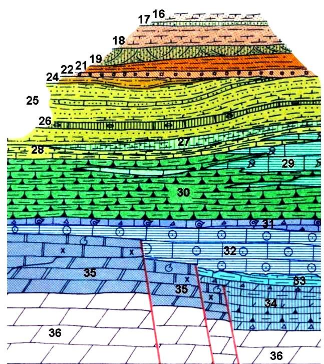 LA SUCCESSIONE MOLASSICA 16-Marna di Monfumo 17-Arenaria di San Gregorio 18-Marna di Bolago 19-Arenaria di Libano, Siltite dei Casoni, Arenaria di Orzes 21-Siltite di Bastia 22-Arenaria Glauconitica