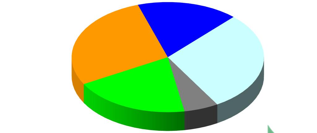 RICAVI CONSOLIDATI milioni RICAVI PER CLASSI DI FATTURATO RICAVI PER AREA GEOGRAFICA (SOLO AGROFARMACI) Ricavi totali = 150 M +34% Americhe 22% 2016 2017 REVENUES BREAKDOWN 4 18 BY PRODUCT CATEGORY