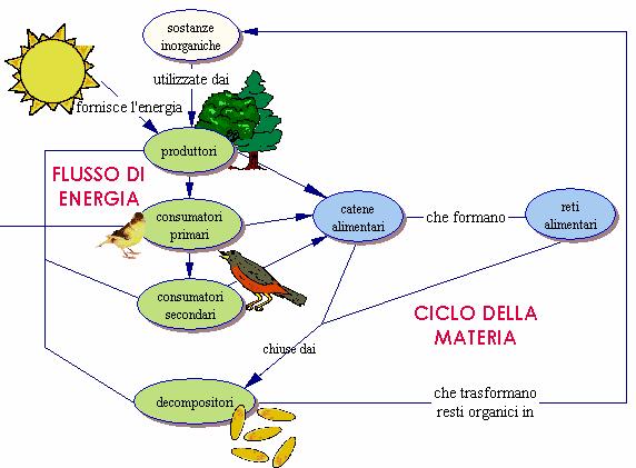 Energia fossile processo produttivo prodotto commerciale rifiuti e inquinamento (acqua e aria) In pratica si trasforma sempre