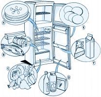 Messa in funzione del frigorifero Inserire la spina nella presa di corrente. Il termostato permette di regolare la temperatura di entrambi i comparti: frigo e congelatore.