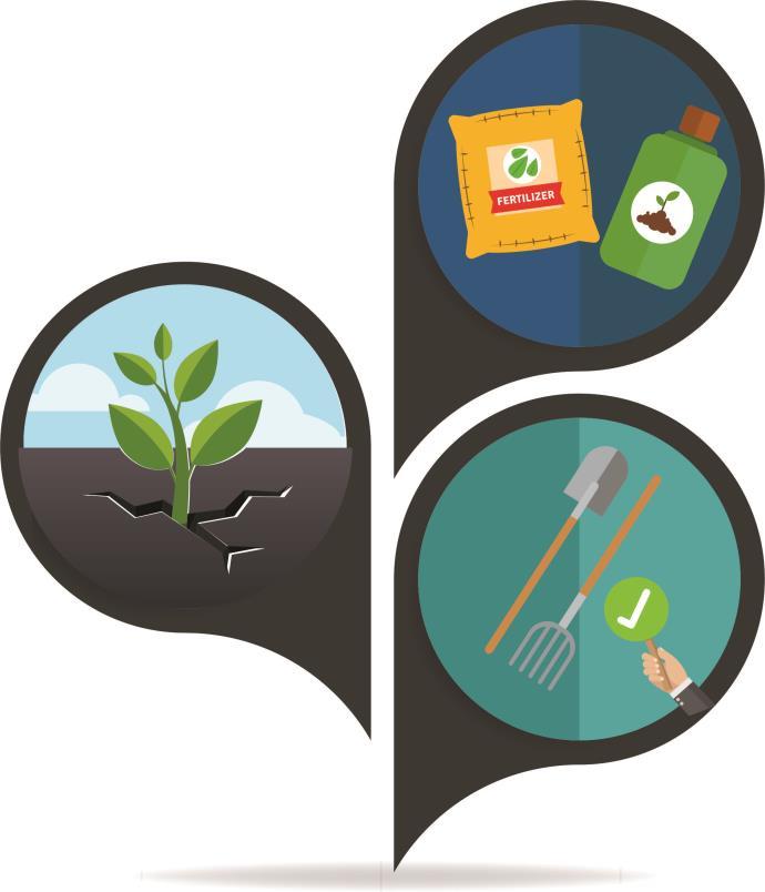 Integrated Soil Fertility Management L Integrated Soil Fertility Management è un approccio basato sui seguenti principi: 1.