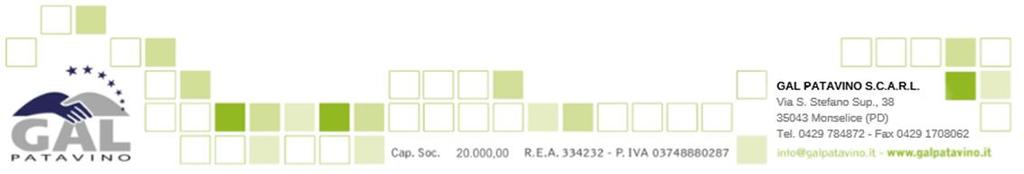 GRUPPO DI AZIONE LOCALE PATAVINO Deliberazione del Consiglio di Amministrazione n. 31