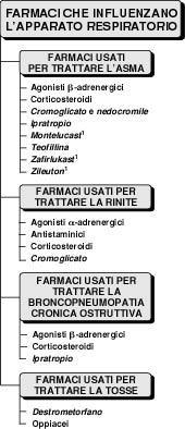 Farmaci nel trattamento dell asma: Broncodilatatori (sintomatici): ß2-agonisti somministrabili per via inalatoria ad azione rapida (salbutamolo, terbutalina, fenoterolo) e protratta (salmeterolo,