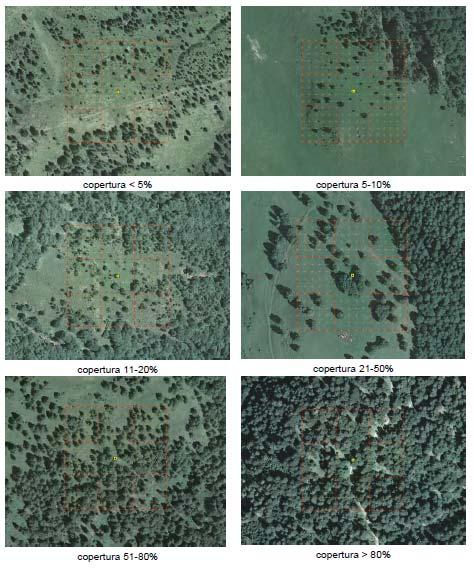 Grado di copertura Esempi delle