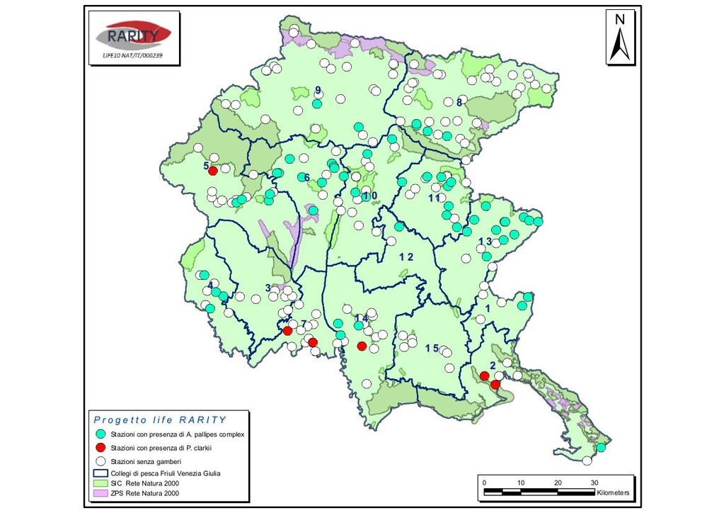 Caratterizzazione genetica delle popolazioni e dei riproduttori di Austropotamobius pallipes complex in FVG 216 stazioni monitorate nei 15 collegi di pesca del FVG È stato